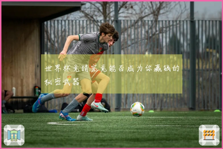 世界杯竞猜究竟能否成为你赢钱的秘密武器
