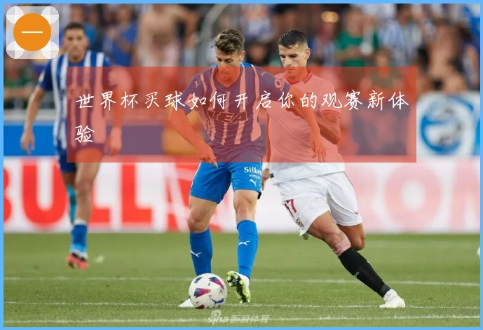 世界杯买球如何开启你的观赛新体验