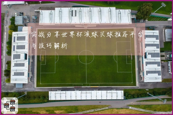 实战分享世界杯滚球买球推荐平台与技巧解析