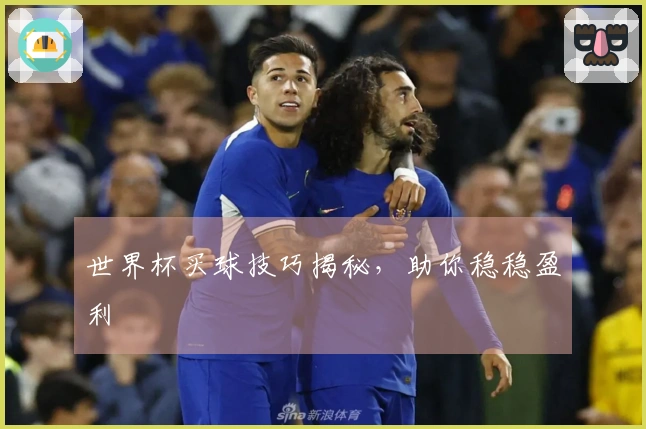 世界杯买球技巧揭秘，助你稳稳盈利