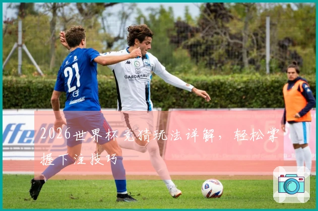 2026世界杯竞猜玩法详解，轻松掌握下注技巧