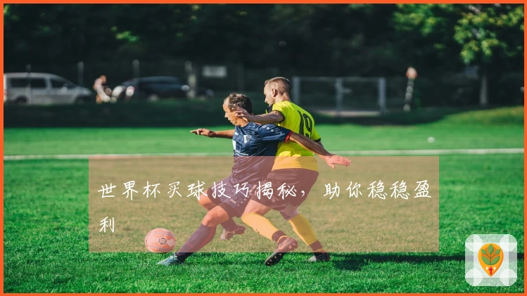 世界杯买球技巧揭秘，助你稳稳盈利