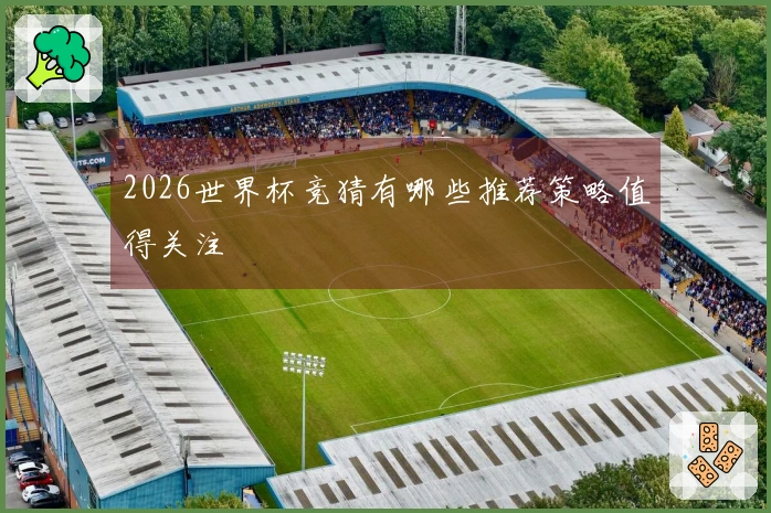 2026世界杯竞猜有哪些推荐策略值得关注