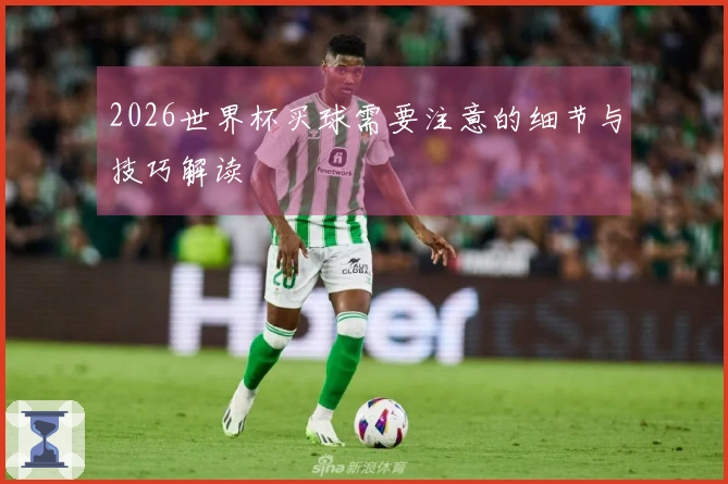 2026世界杯买球需要注意的细节与技巧解读