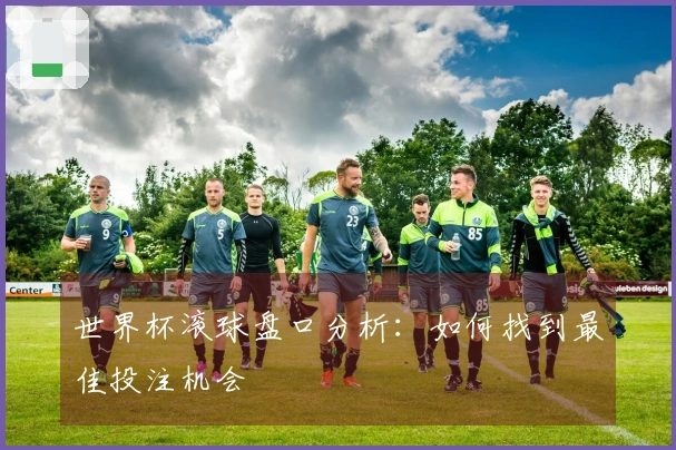 世界杯滚球盘口分析：如何找到最佳投注机会