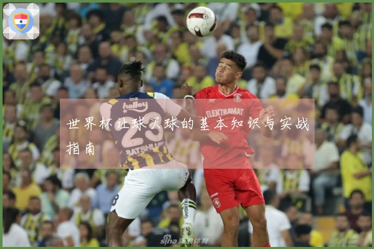 世界杯让球买球的基本知识与实战指南