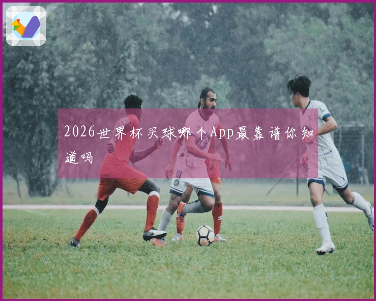 2026世界杯买球哪个App最靠谱你知道吗