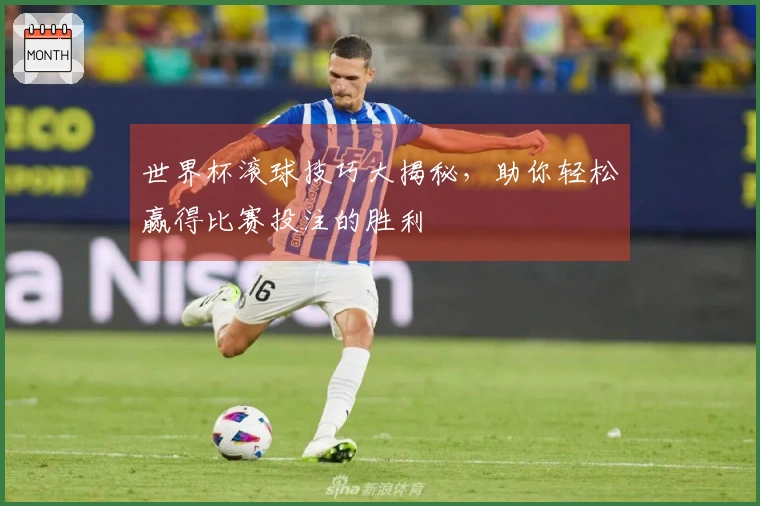 世界杯滚球技巧大揭秘，助你轻松赢得比赛投注的胜利