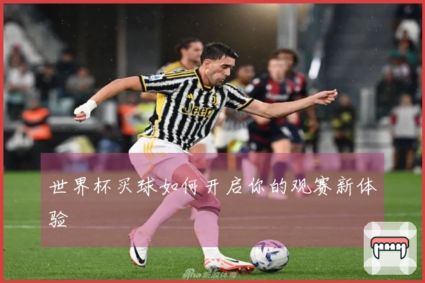 世界杯买球如何开启你的观赛新体验