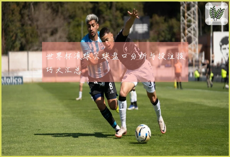 世界杯滚球买球盘口分析与投注技巧大汇总