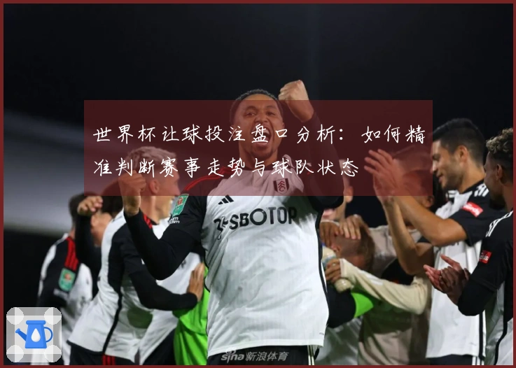 世界杯让球投注盘口分析：如何精准判断赛事走势与球队状态
