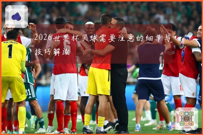 2026世界杯买球需要注意的细节与技巧解读