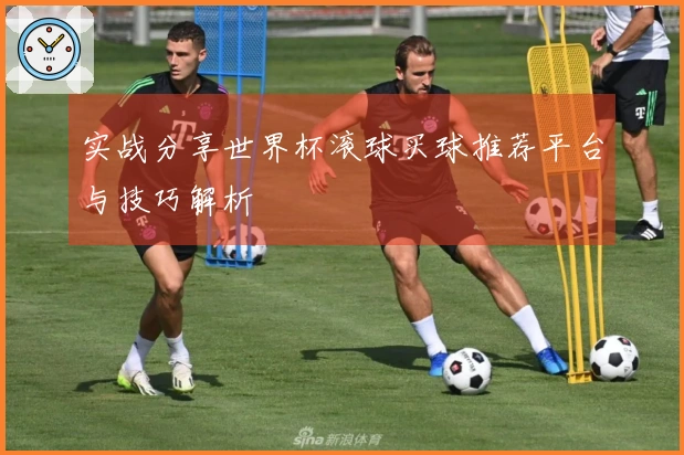 实战分享世界杯滚球买球推荐平台与技巧解析
