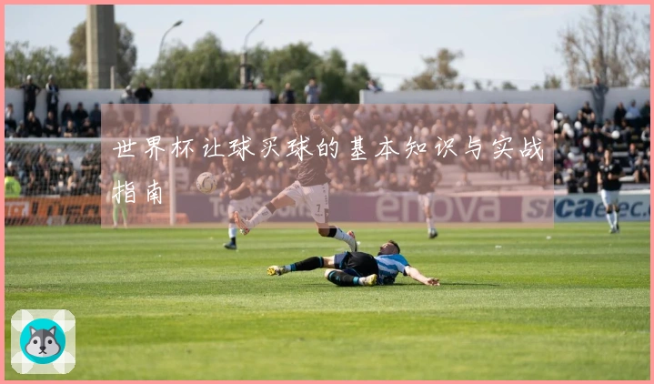 世界杯让球买球的基本知识与实战指南